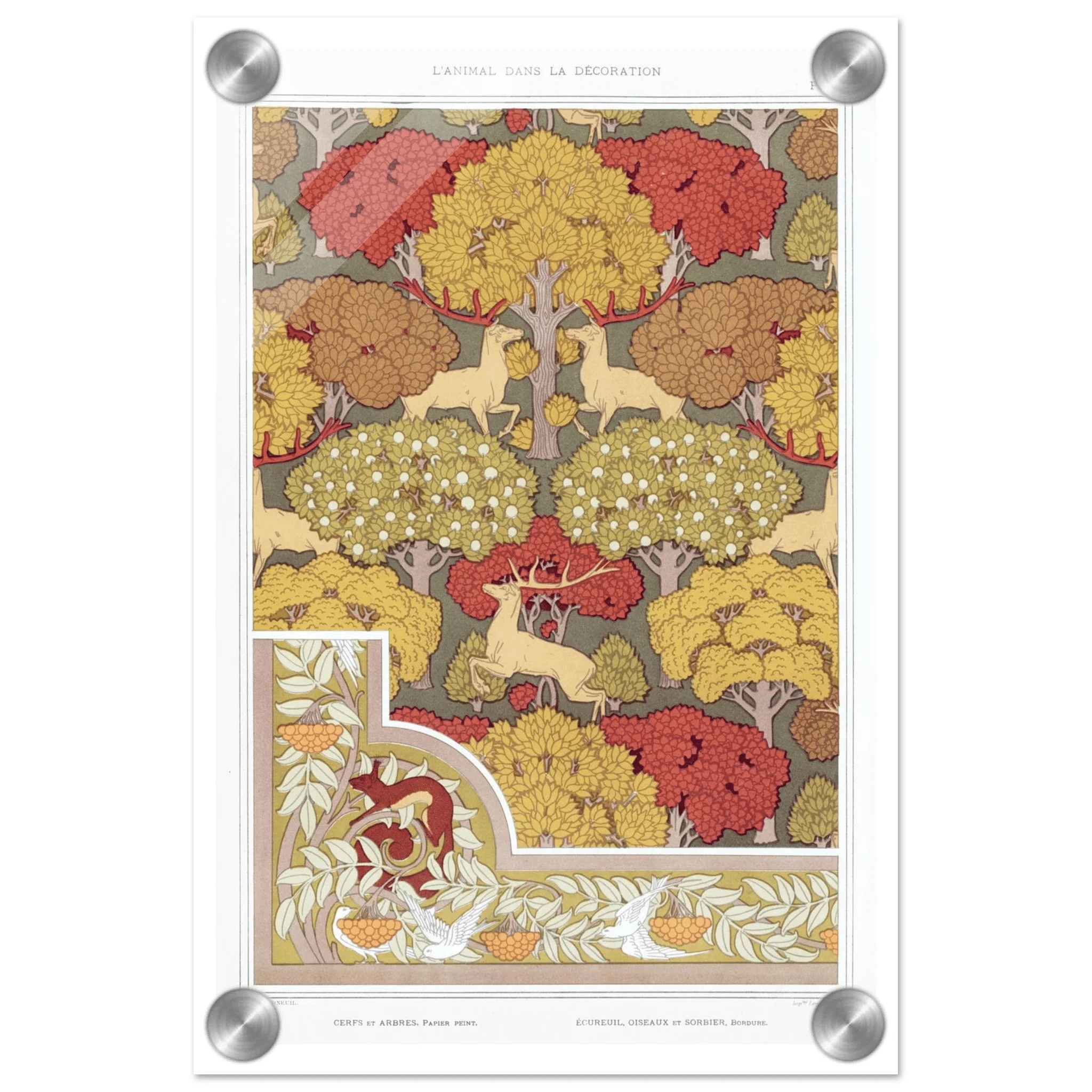 Acrylic Print | Cerfs et arbres