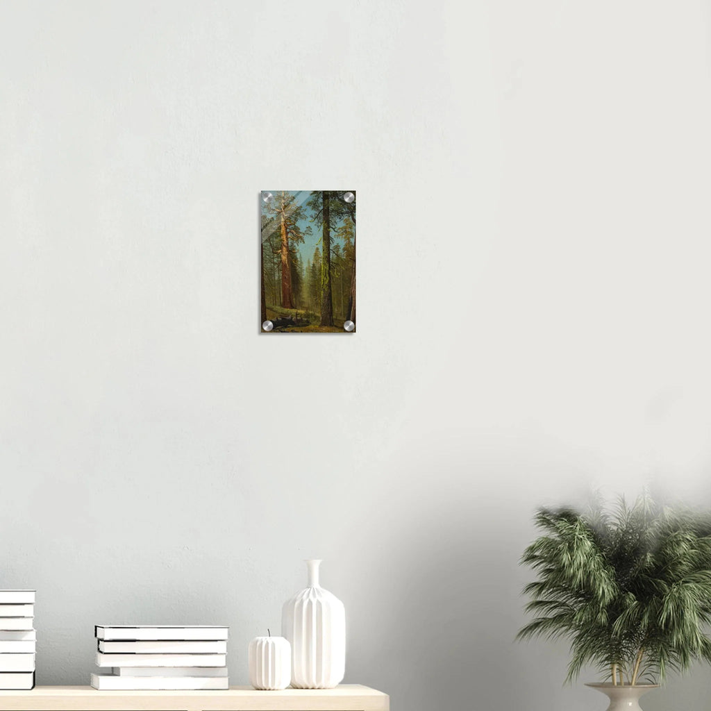 Acrylic Print | The Grizzly Giant Sequoia