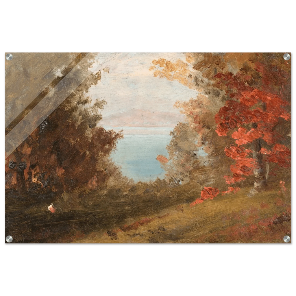 Acrylic Print | Woodland Scene