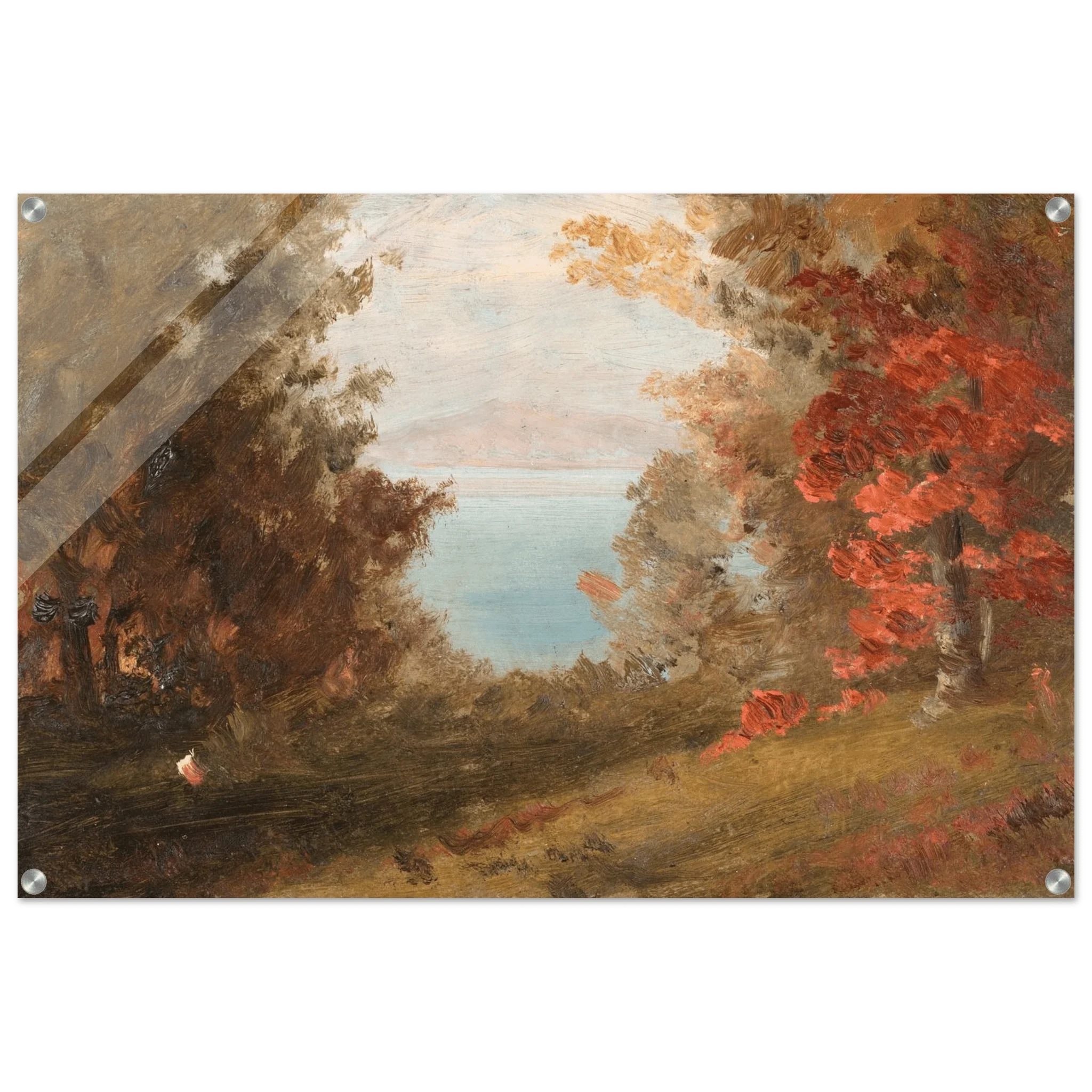 Acrylic Print | Woodland Scene