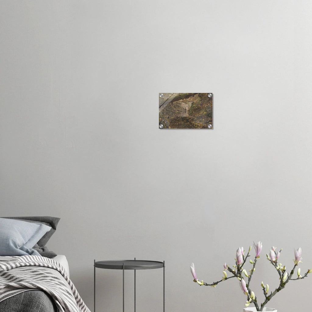 Acrylic Print |  Woodland Stream