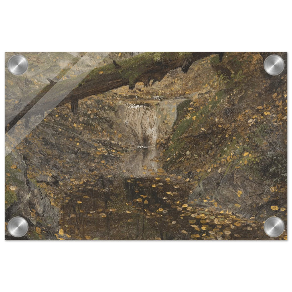 Acrylic Print |  Woodland Stream