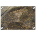 Acrylic Print |  Woodland Stream