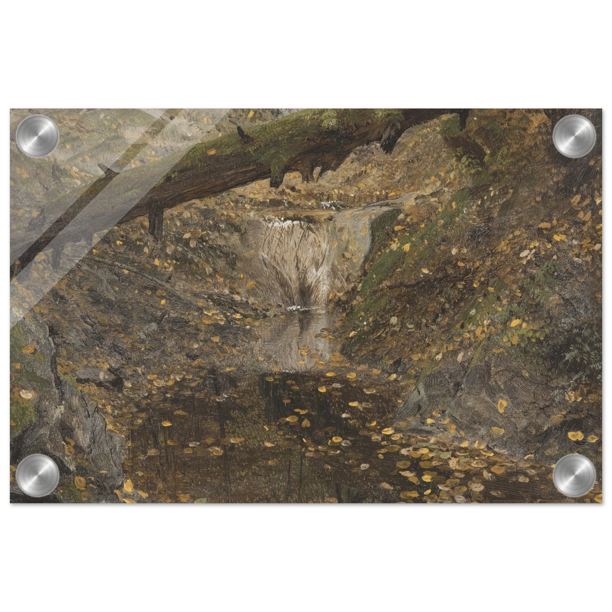 Acrylic Print |  Woodland Stream
