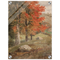 Acrylic Print | Woods in Autumn