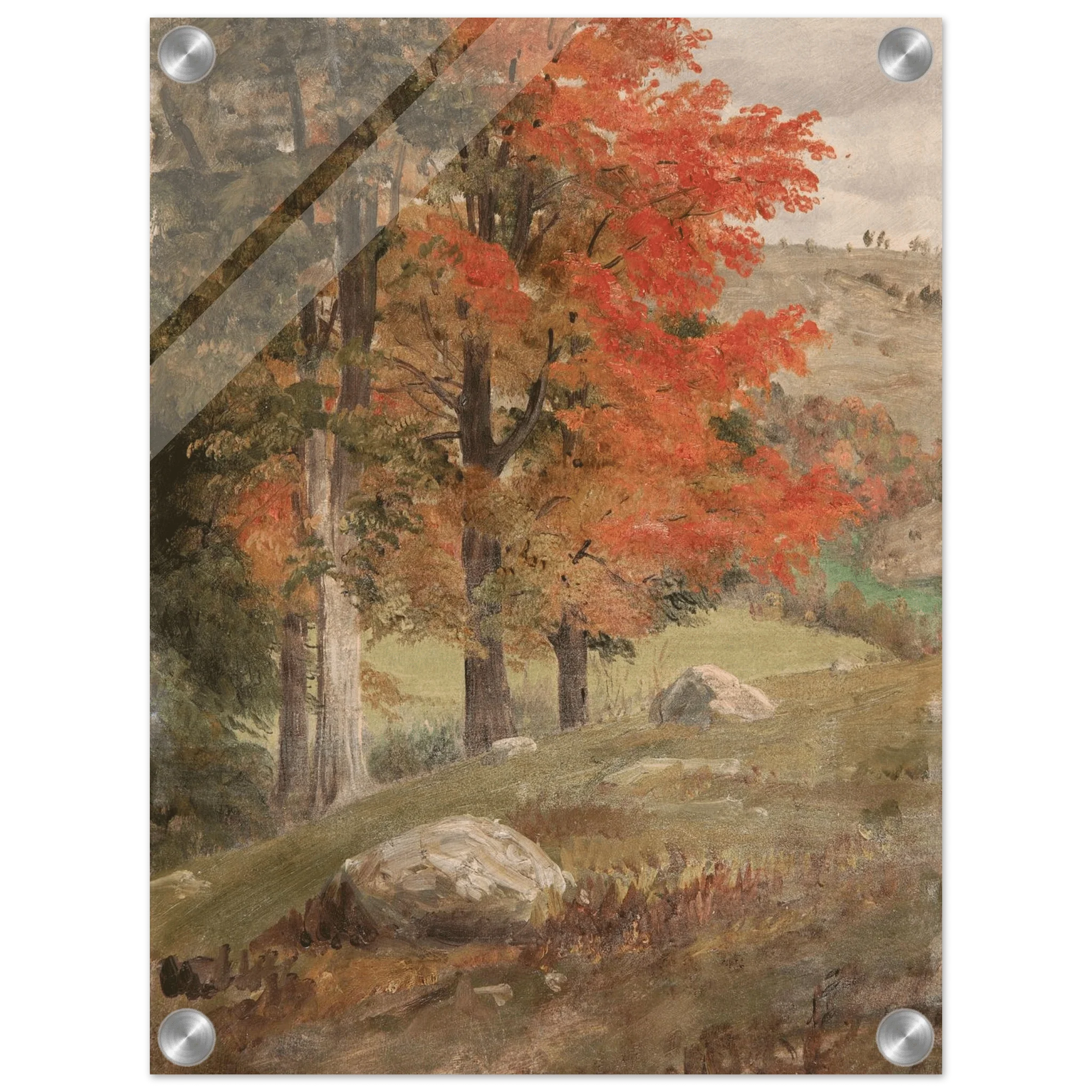 Acrylic Print | Woods in Autumn