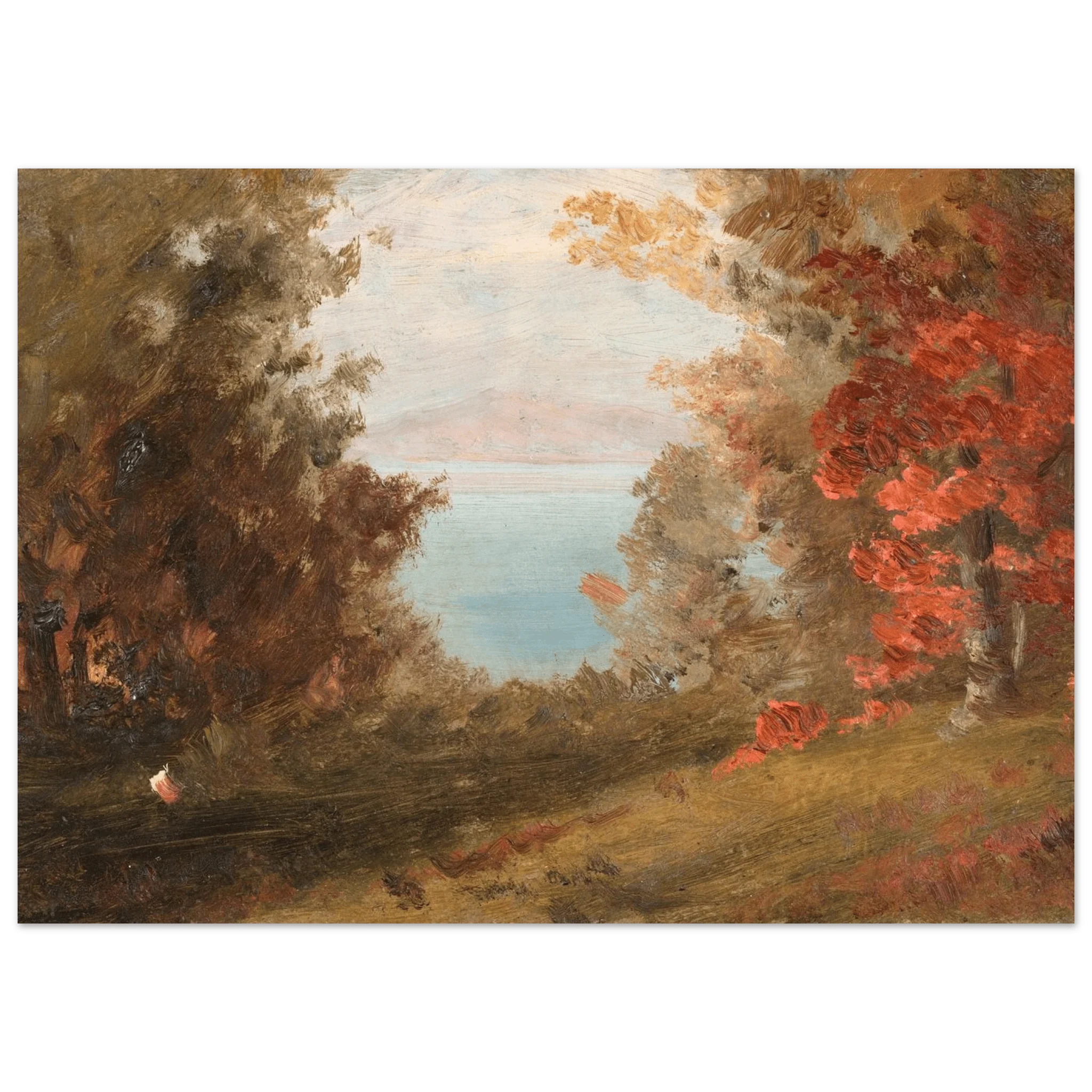 Aluminum Print | Woodland Scene