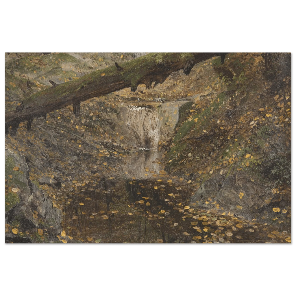 Aluminum Print |  Woodland Stream