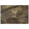 Aluminum Print |  Woodland Stream