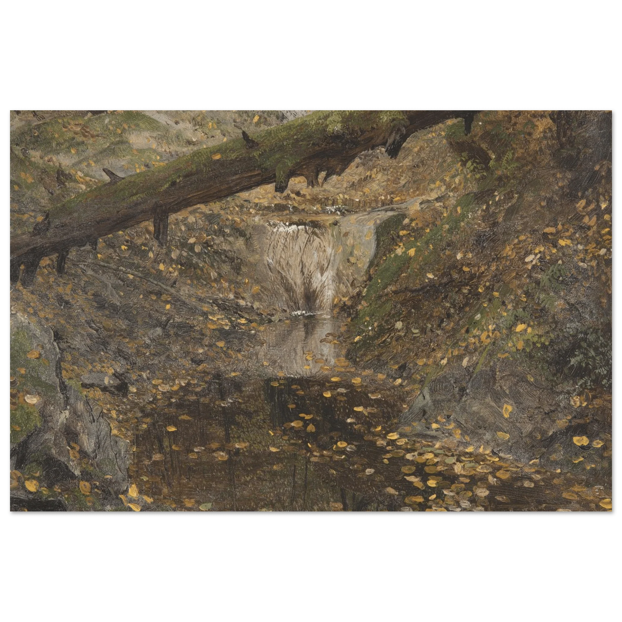 Aluminum Print |  Woodland Stream