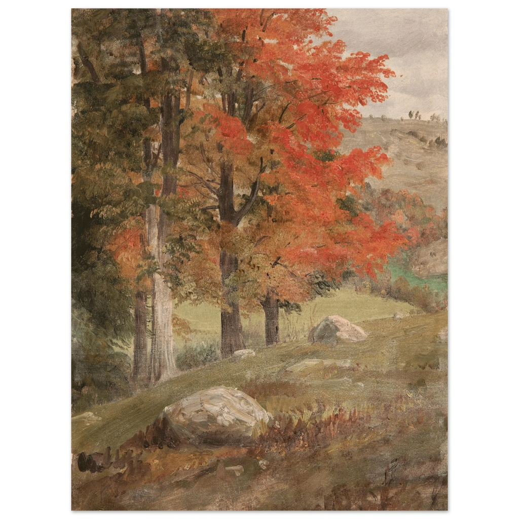 Aluminum Print | Woods in Autumn