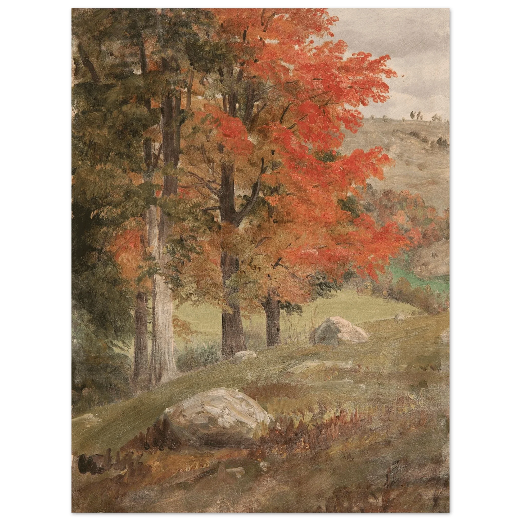 Aluminum Print | Woods in Autumn