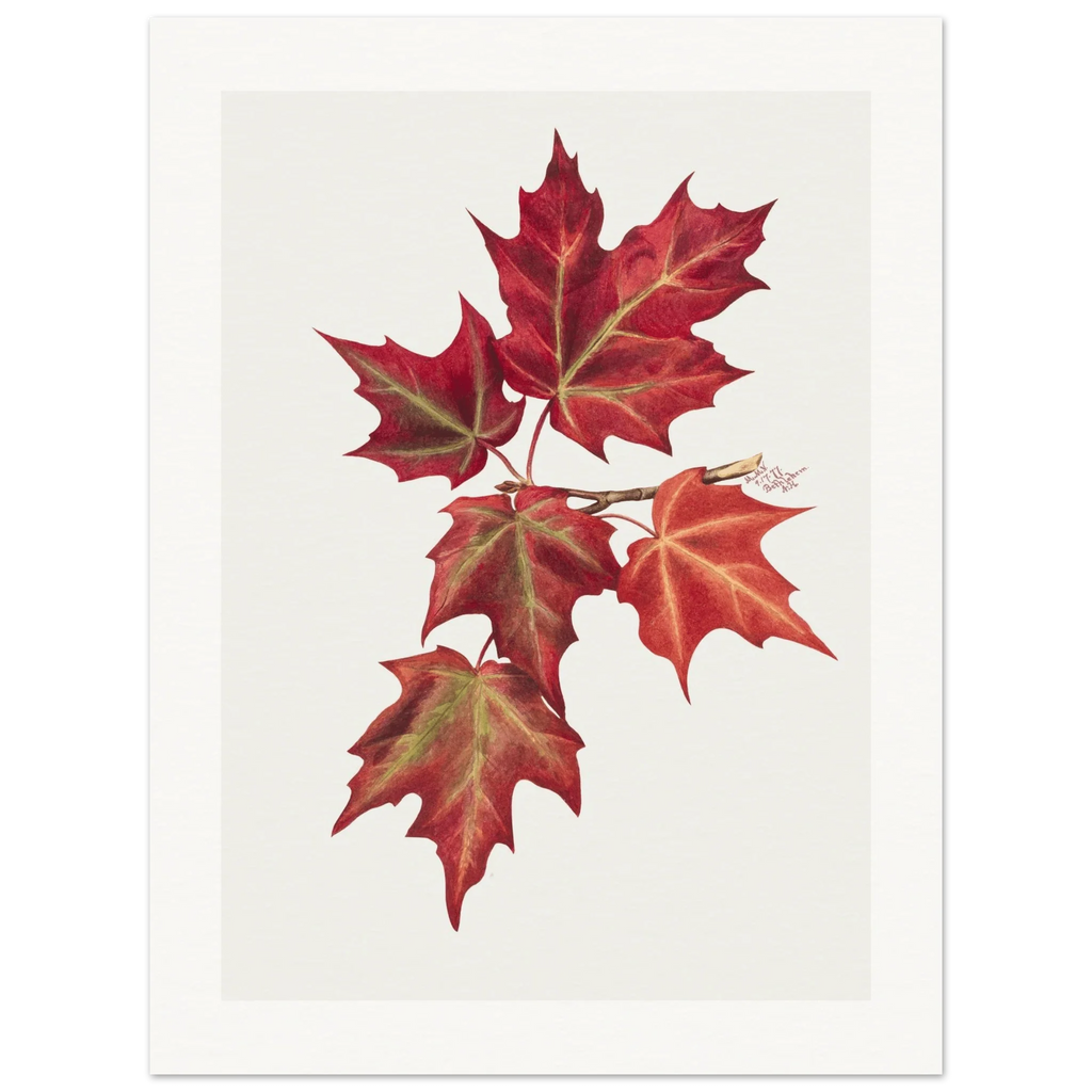 Autumn Leaves | Museum-Quality Paper