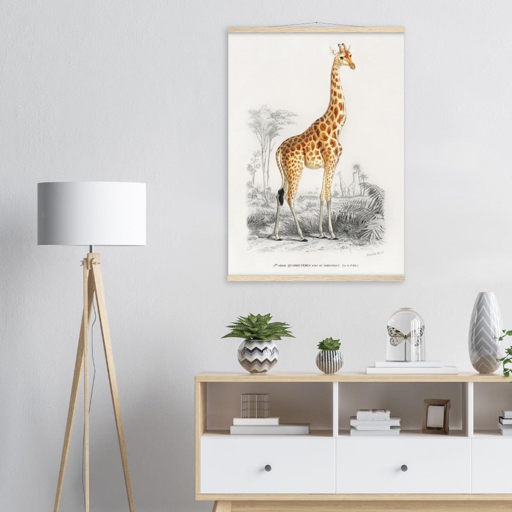 Giraffa camelopardalis | Classic Semi-Glossy Paper Poster with Hanger