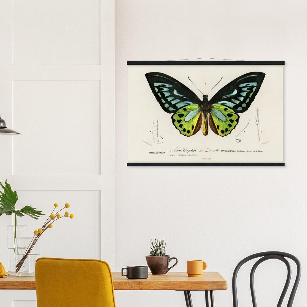 Butterfly Green birdwing | Classic Semi-Glossy Paper Poster with Hanger