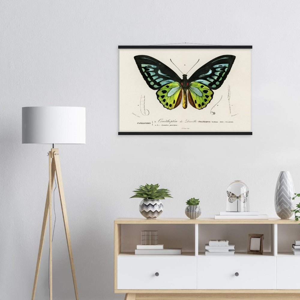 Butterfly Green birdwing | Classic Semi-Glossy Paper Poster with Hanger