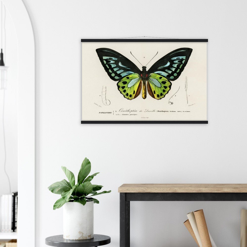 Butterfly Green birdwing | Classic Semi-Glossy Paper Poster with Hanger